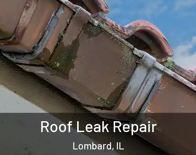  Roof Leak Repair Lombard, IL
